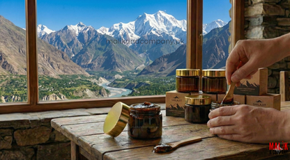 Premium Glass Jars for Shilajit & Cosmetics